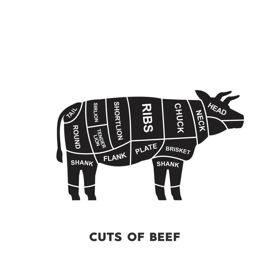 vector illustration guide Meat cuts set. beef Butcher Poster diagrams and schematics.