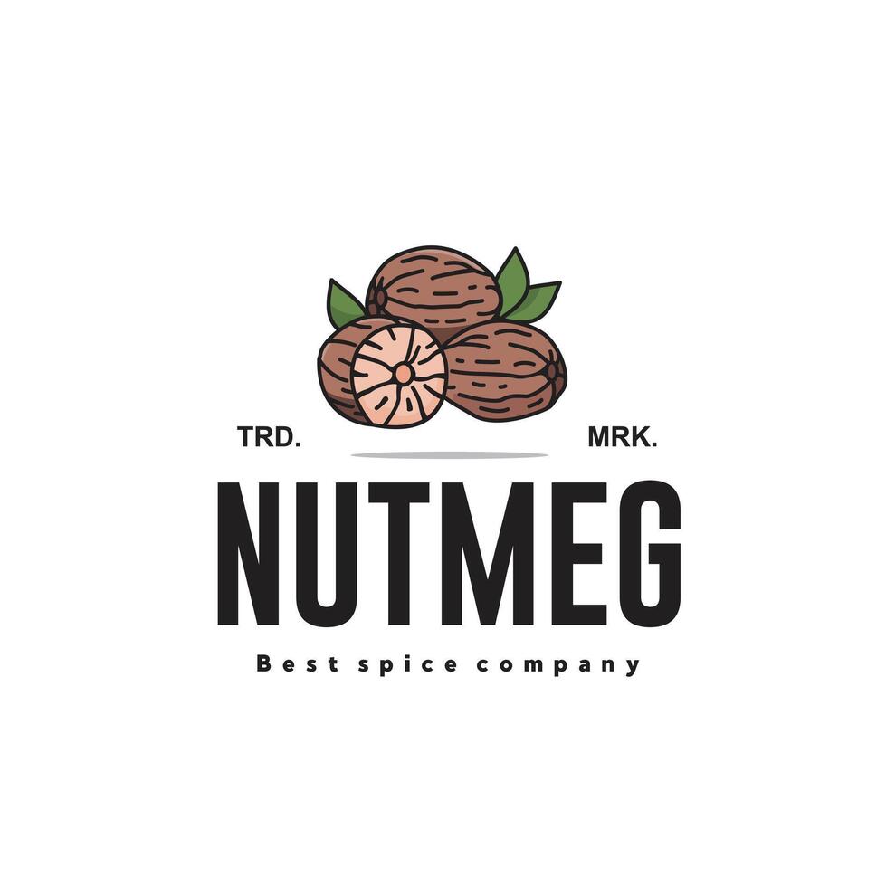 vector illustration of the nutmeg spice logo icon, nutmeg kitchen spice for the cooking industry