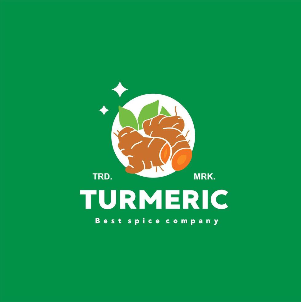 vector illustration of the turmeric spice logo icon, turmeric kitchen spice for the cooking industry