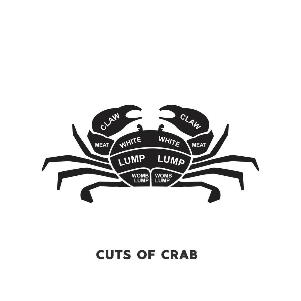 vector illustration guide Meat cuts set. crab Butcher Poster diagrams and schematics.