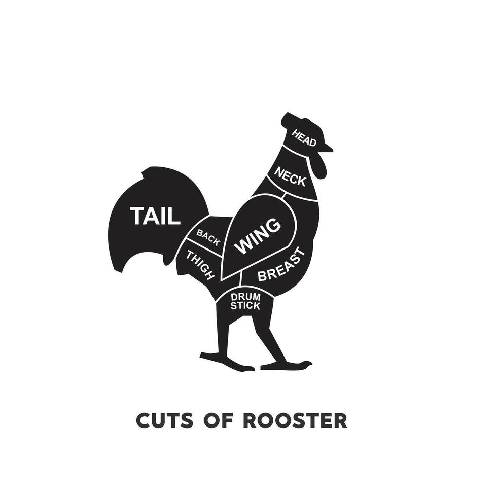 vector illustration guide Meat cuts set. chicken Butcher Poster diagrams and schematics.