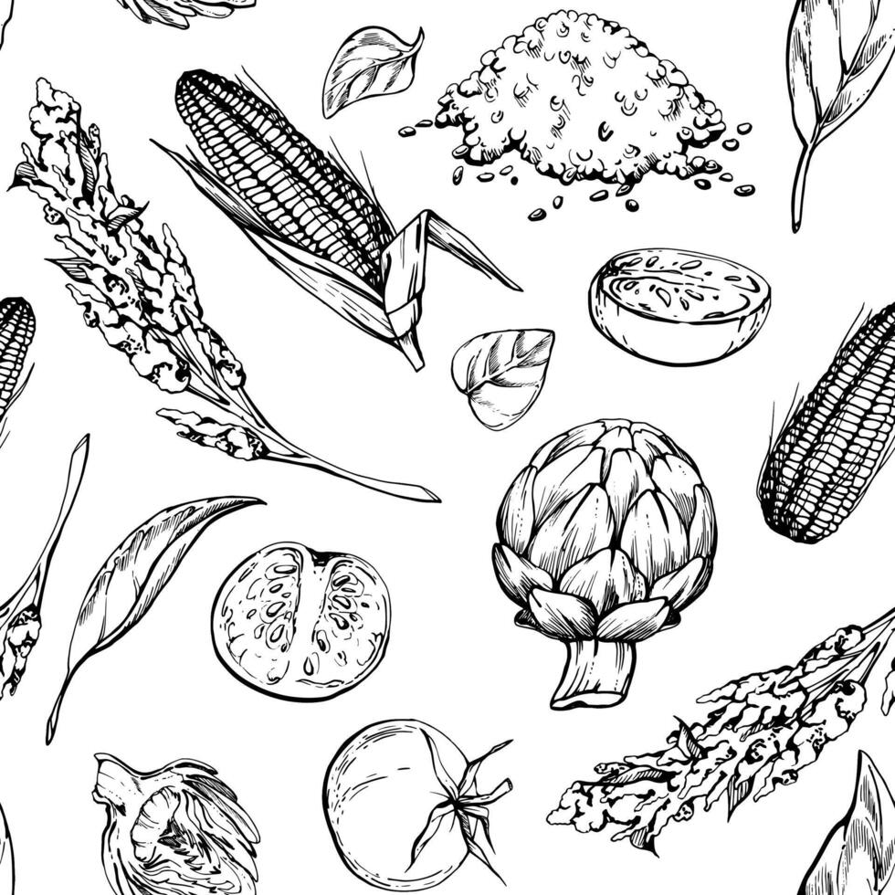 Hand drawn ink vector illustration, vegetarian healthy vegetable food maize corn quinoa, artichoke tomato herbs. Seamless pattern isolated on white background. Design brochure, cafe restaurant menu