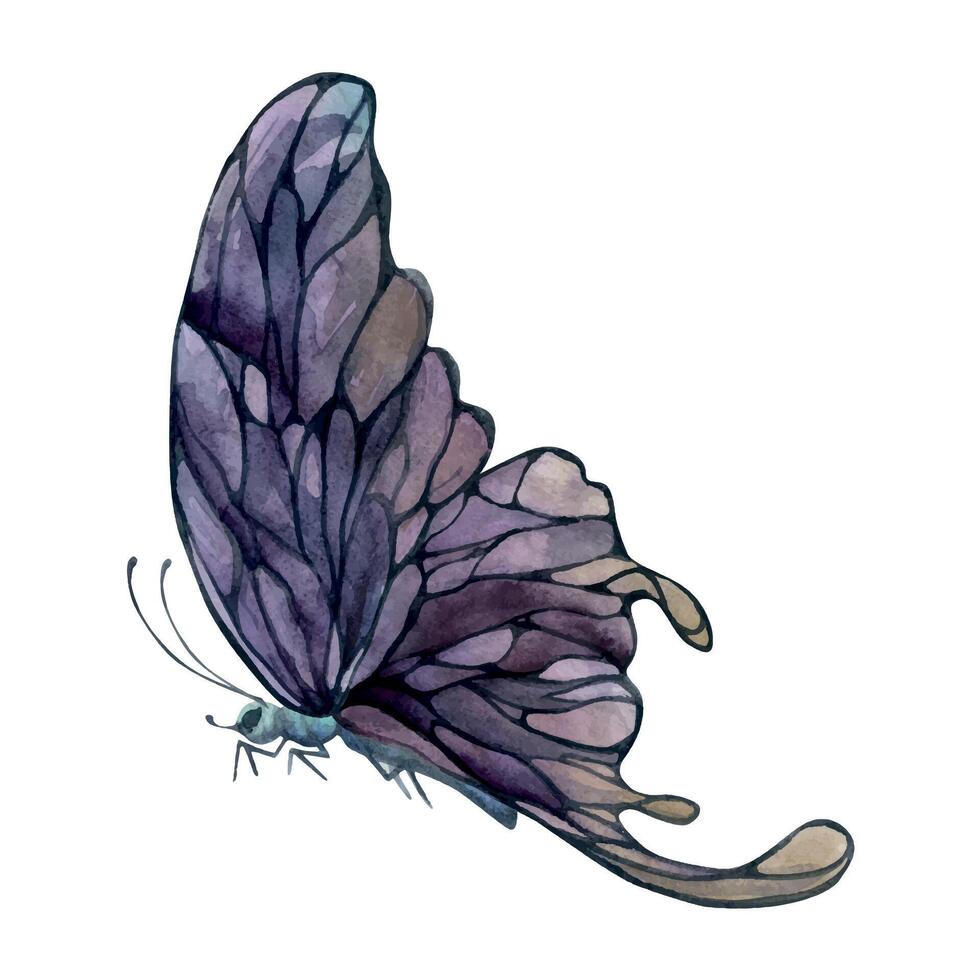 Hand drawn watercolor illustration butterfly fairy wings gem crystal insect moth. Amethyst charoite fluorite ametrine. Single object isolated on white background. Design print, shop, wedding, birthday vector