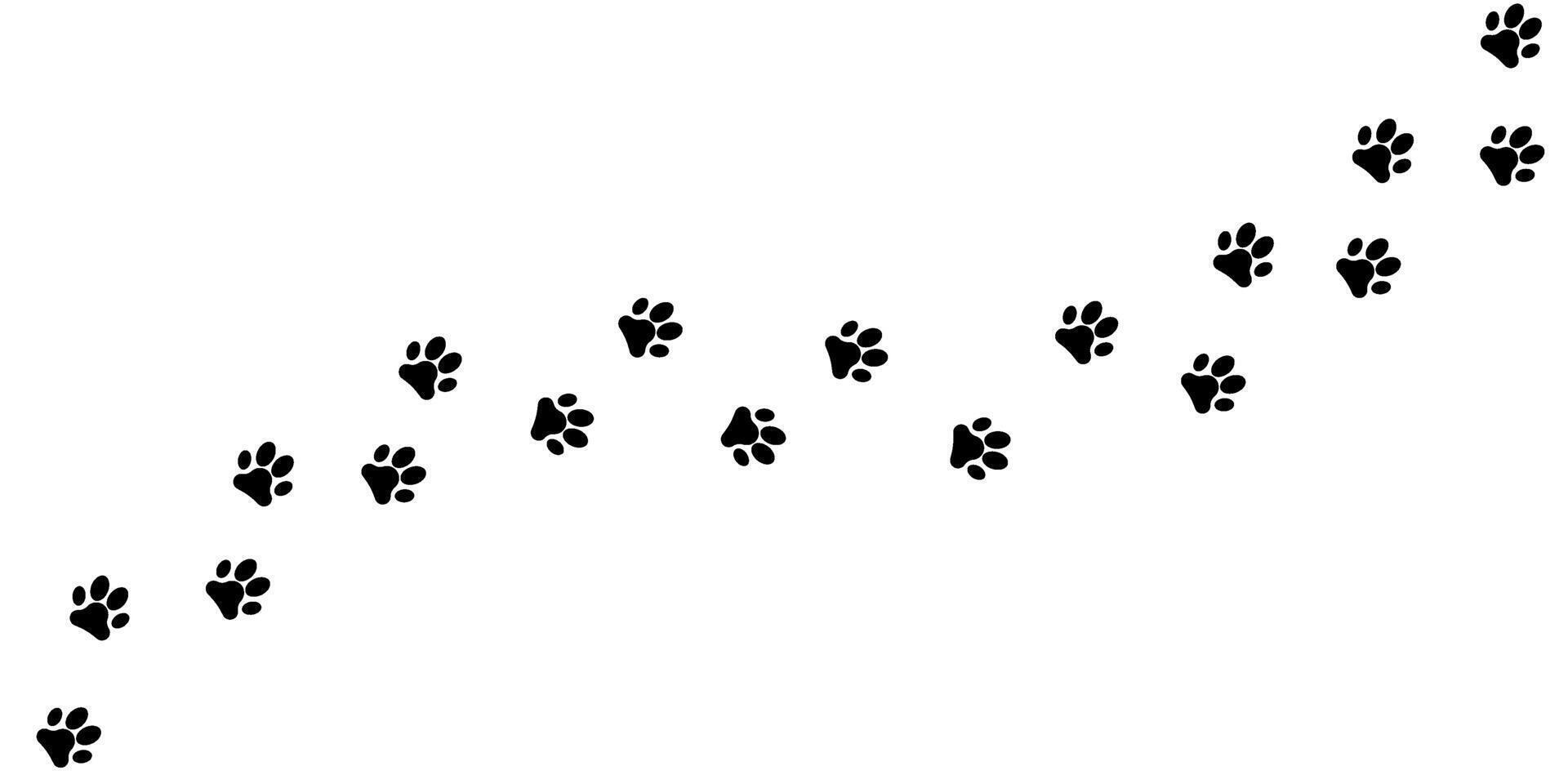 Paw print pets waling icon background vector