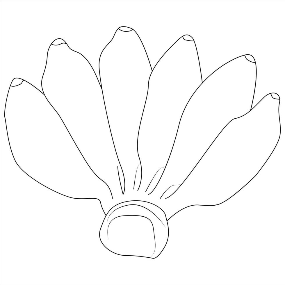 Continuous one line banana drawing out line vector illustration design