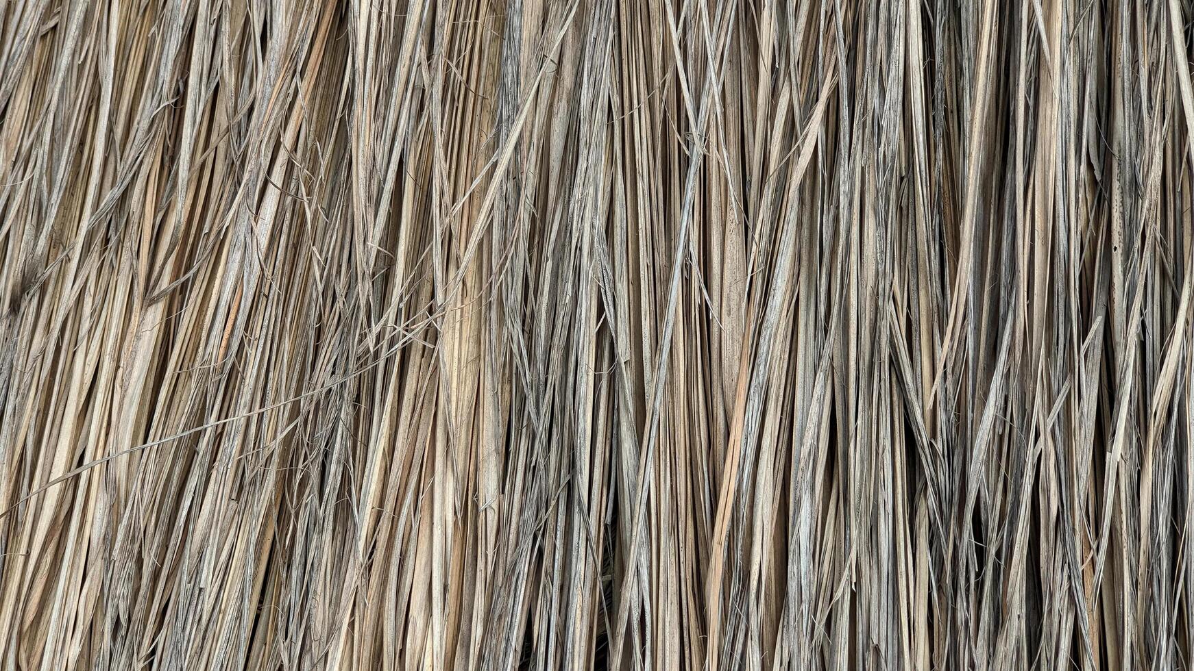 Close-up of textured thatched straw roof with natural beige and brown tones, showing intricate patterns and details. photo