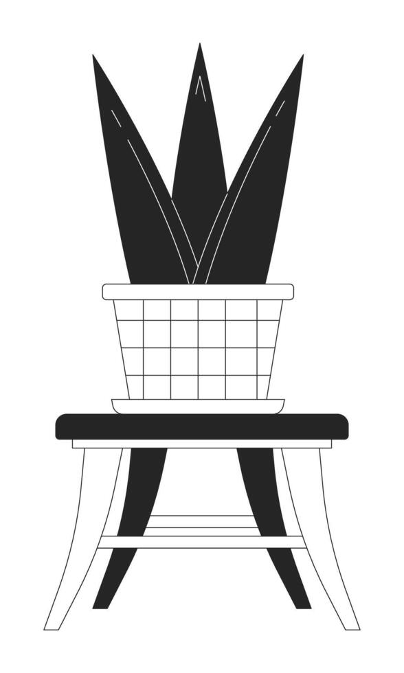 Houseplant black and white 2D line cartoon object. Sansevieria zeylanica. Gardening exotic plant in pot isolated vector outline item. Home decor with potplant monochromatic flat spot illustration