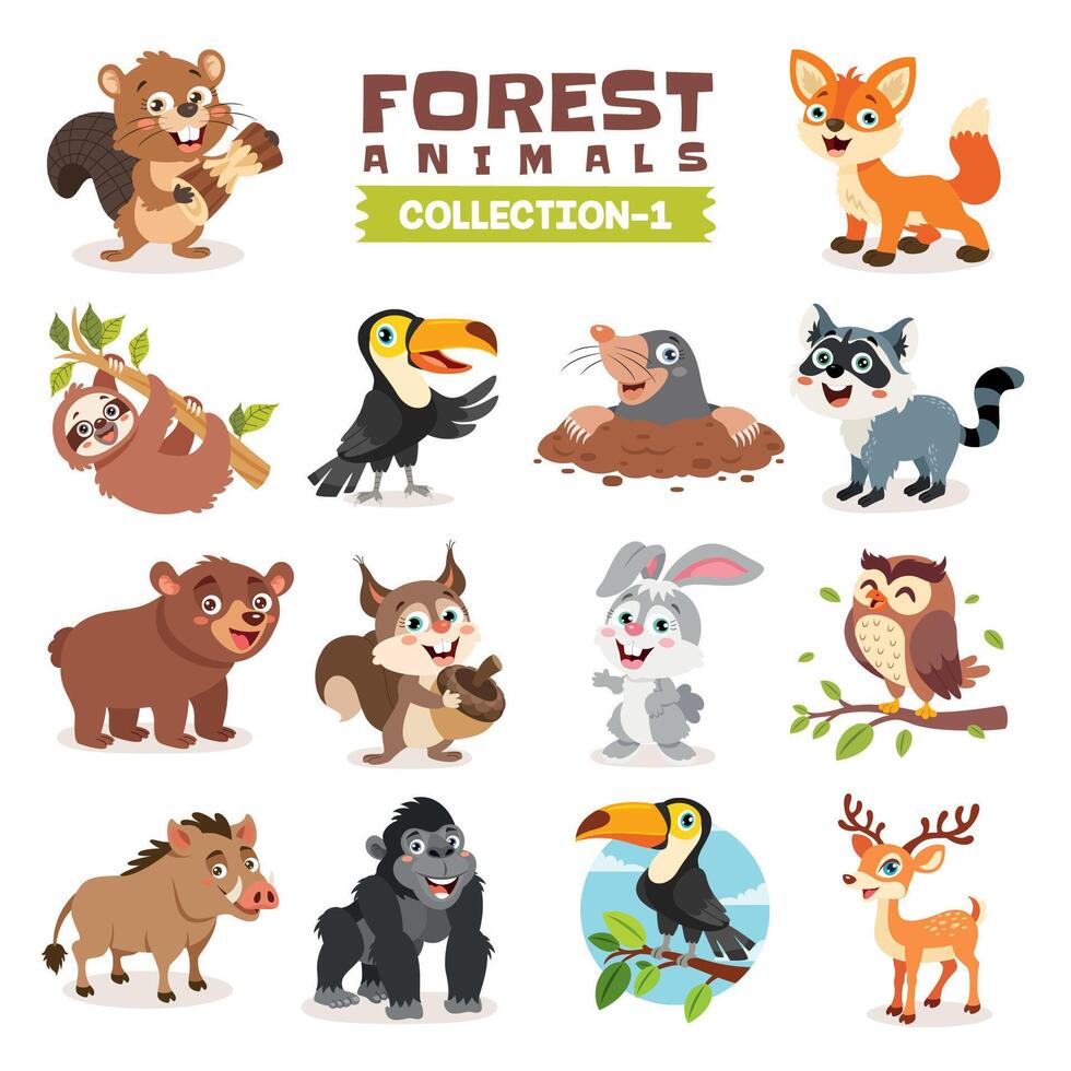 conjunto de varios bosque animales vector
