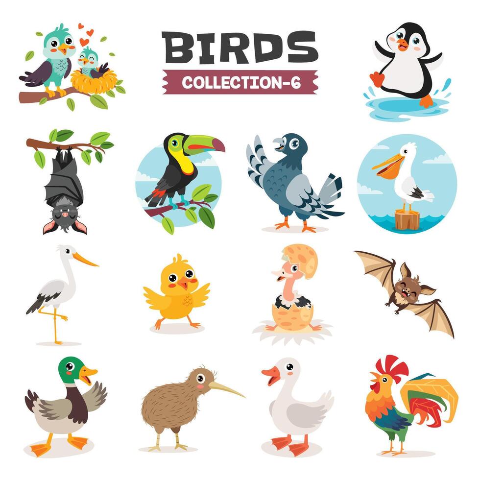conjunto de varios dibujos animados aves vector