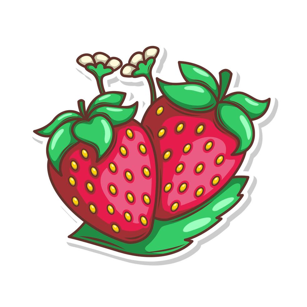 hand draw strawberry fruit illustration art vector