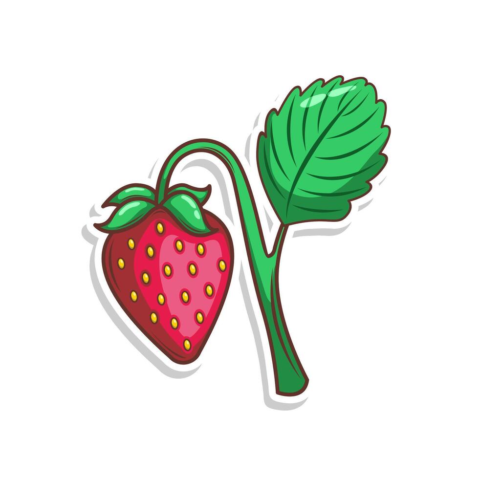 hand draw strawberry fruit illustration art vector