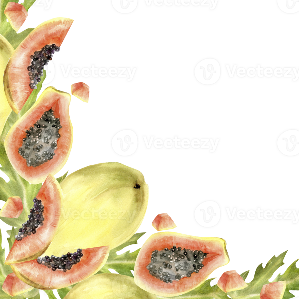 Watercolor tropical papaya frame for party, packing, summer label design. Orange exotic fruit , green leaves in colorful arrangement png