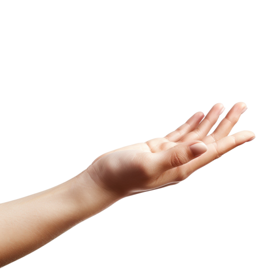 AI generated Female hand   isolated on transparent background   generative AI png
