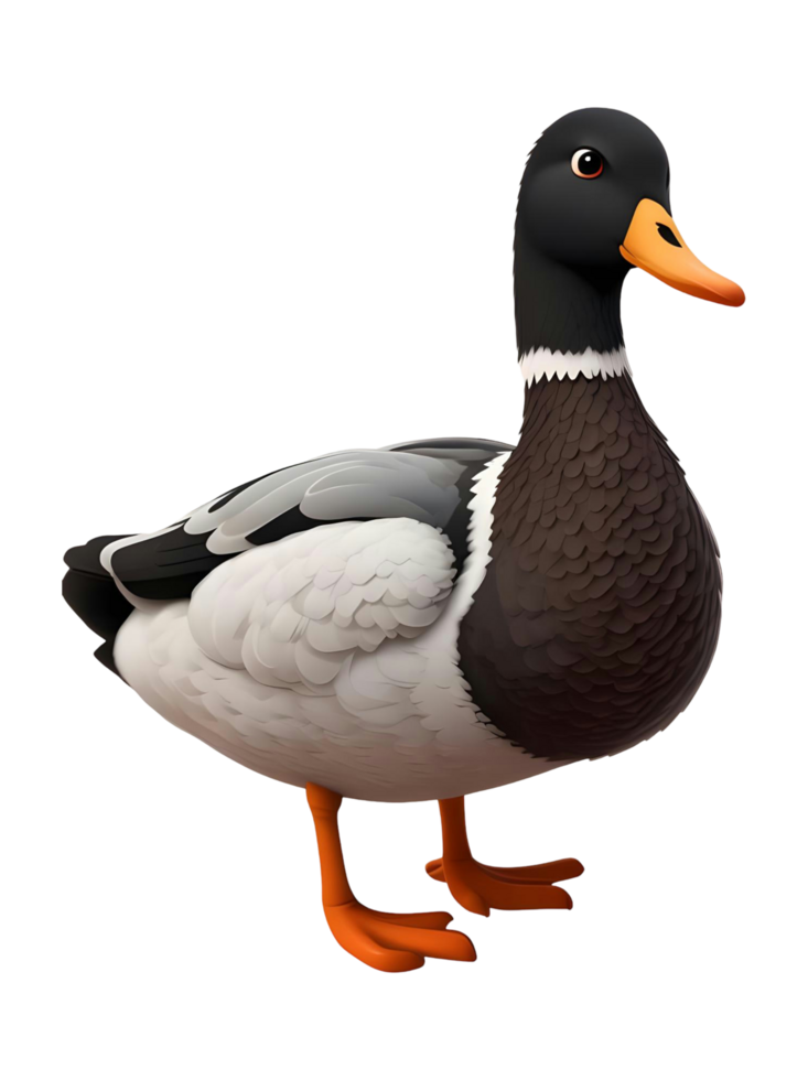 a duck is standing on a transparent background png