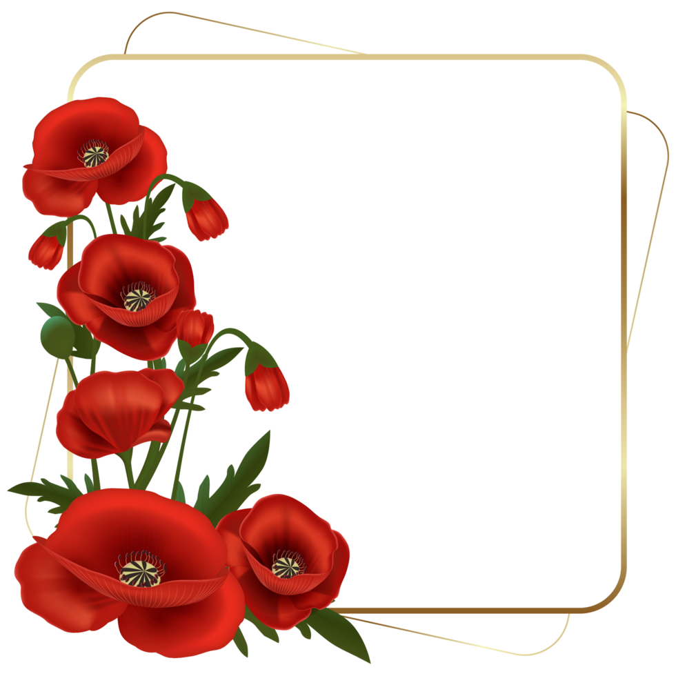 Beautiful Decorative Poppy Floral in Gold Frame png