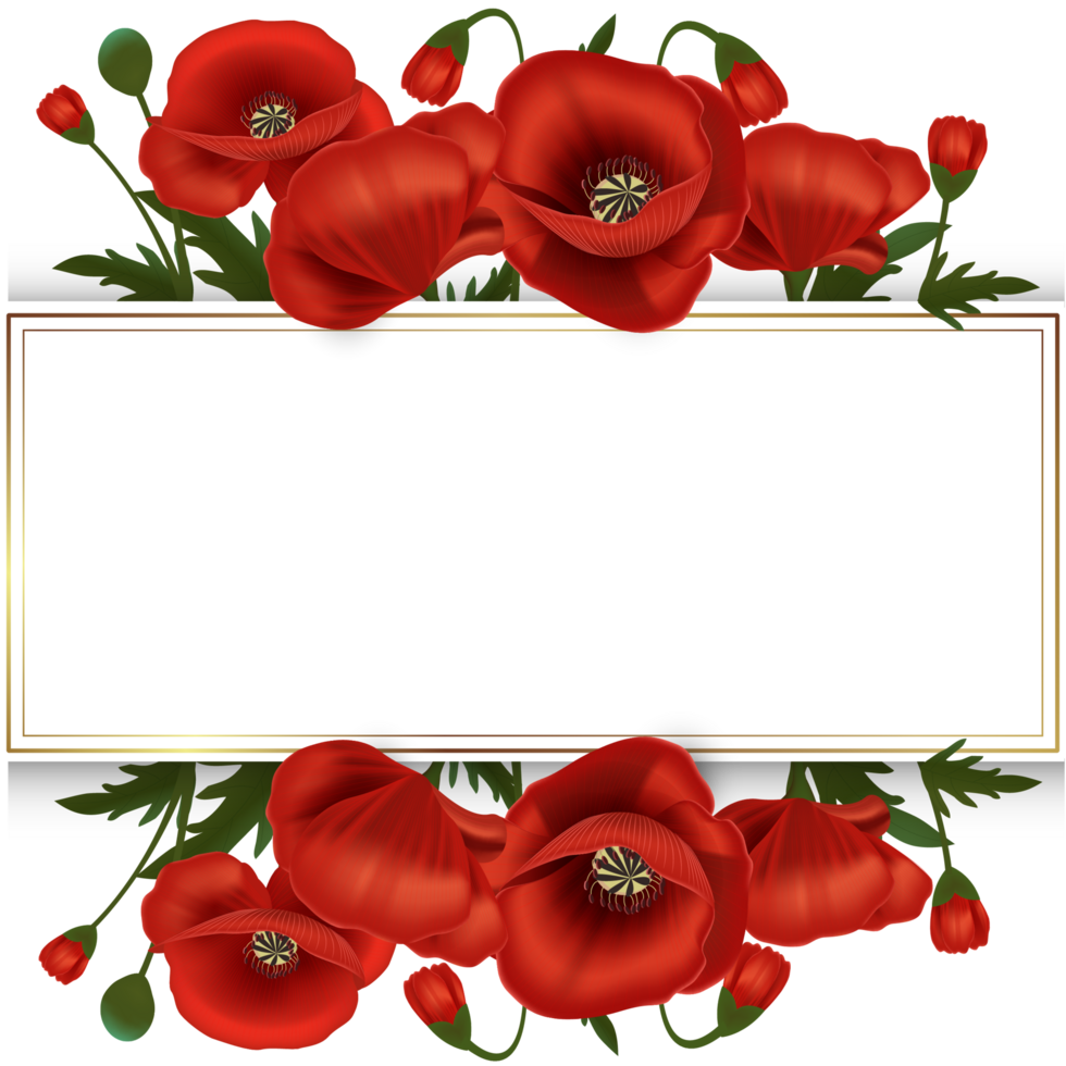 magnifique or Cadre avec rouge coquelicots ornement png