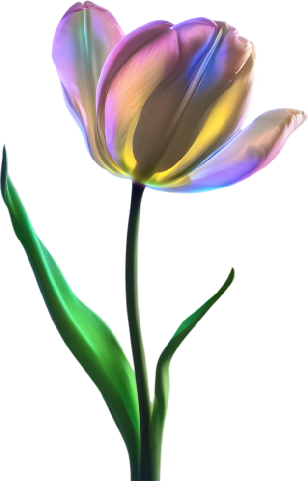 AI generated Glowing Tulip, Close-up image of Glowing tulip flower. png