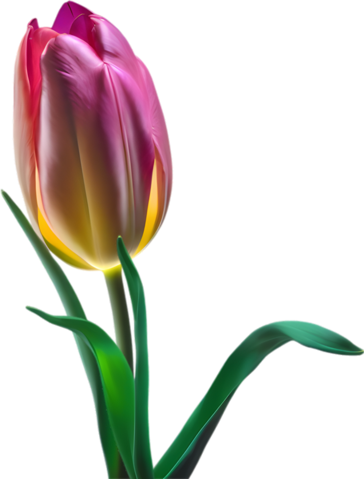AI generated Glowing Tulip, Close-up image of Glowing tulip flower. png