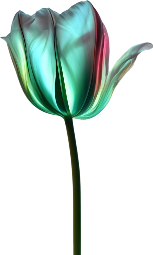 AI generated Glowing Tulip, Close-up image of Glowing tulip flower. png