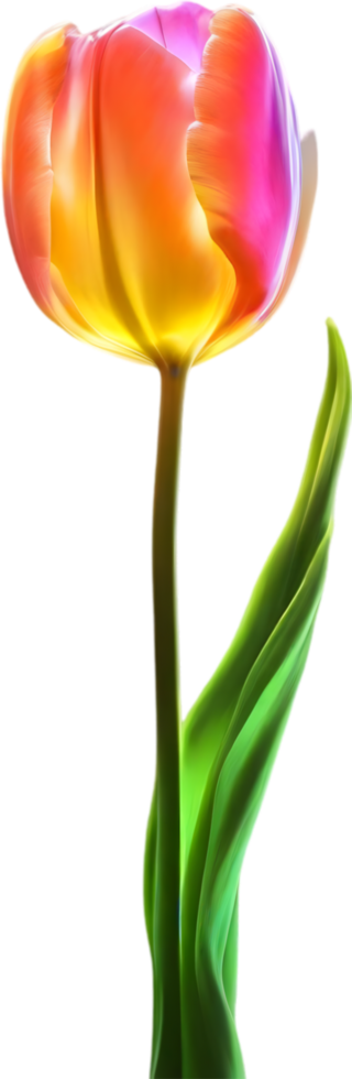 AI generated Glowing Tulip, Close-up image of Glowing tulip flower. png