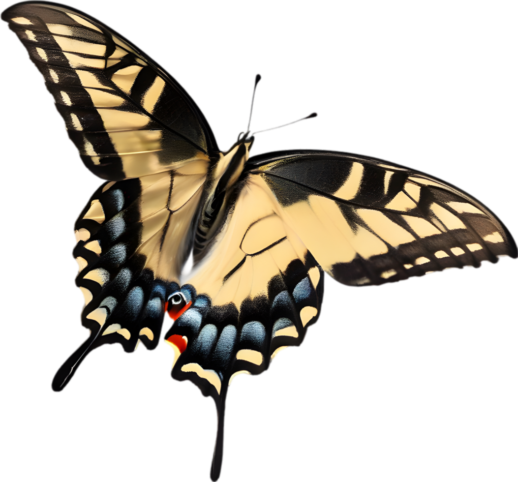 AI generated Colorful and elegant butterfly image. png