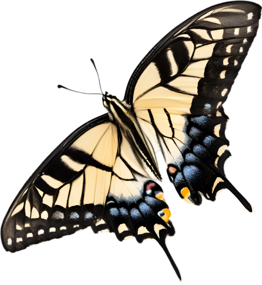 AI generated Colorful and elegant butterfly image. png