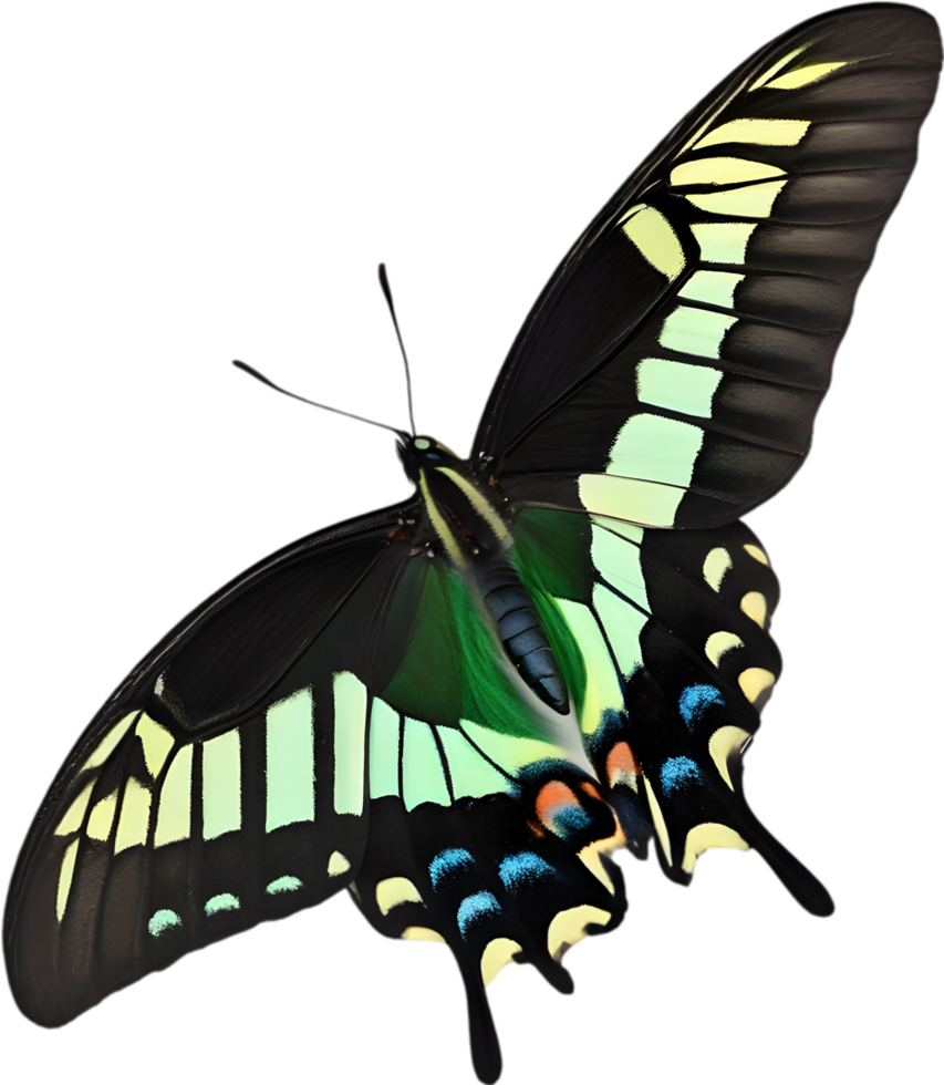 AI generated Colorful and elegant butterfly image. png
