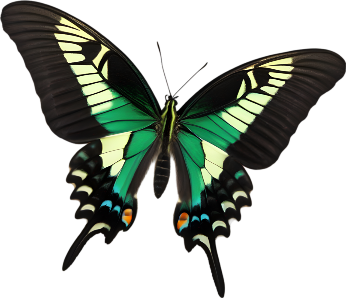 AI generated Colorful and elegant butterfly image. png