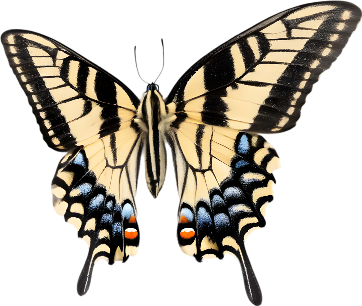 AI generated Colorful and elegant butterfly image. png