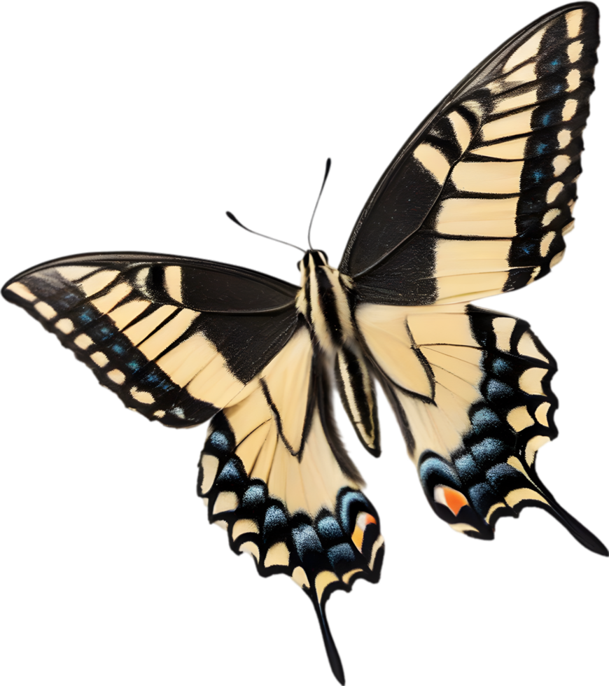 AI generated Colorful and elegant butterfly image. png