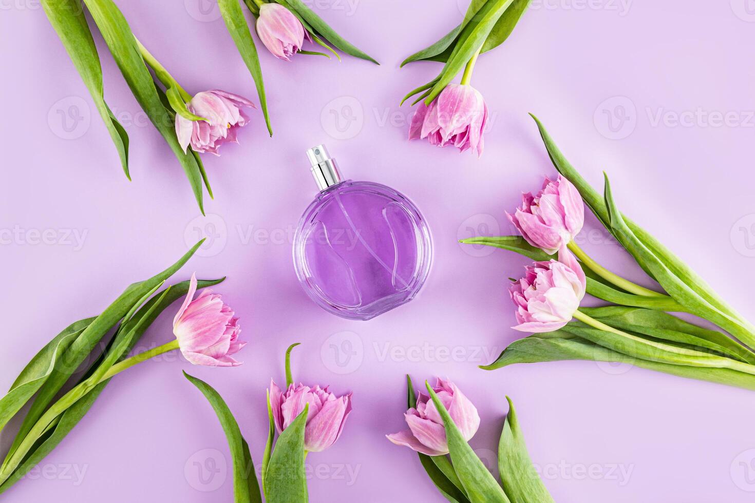 A beautiful bottle of women's perfume with a delicate aroma on a purple background among tulips flower . Top view. Flat lay. A copy space. photo