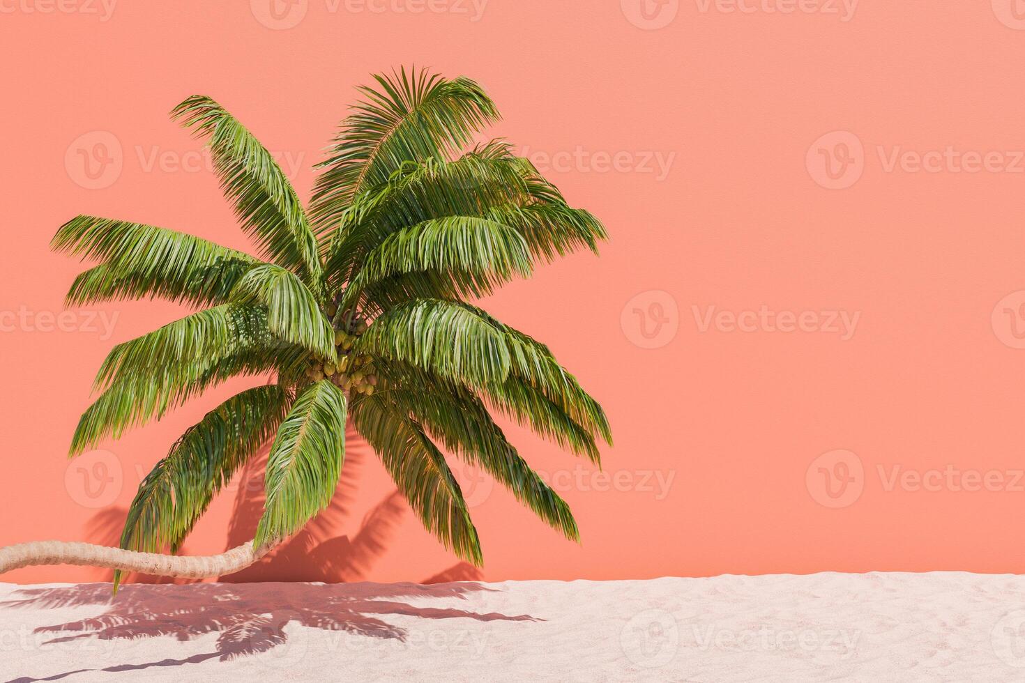 Palm Tree Against Solid Color Wall Background with Sand photo