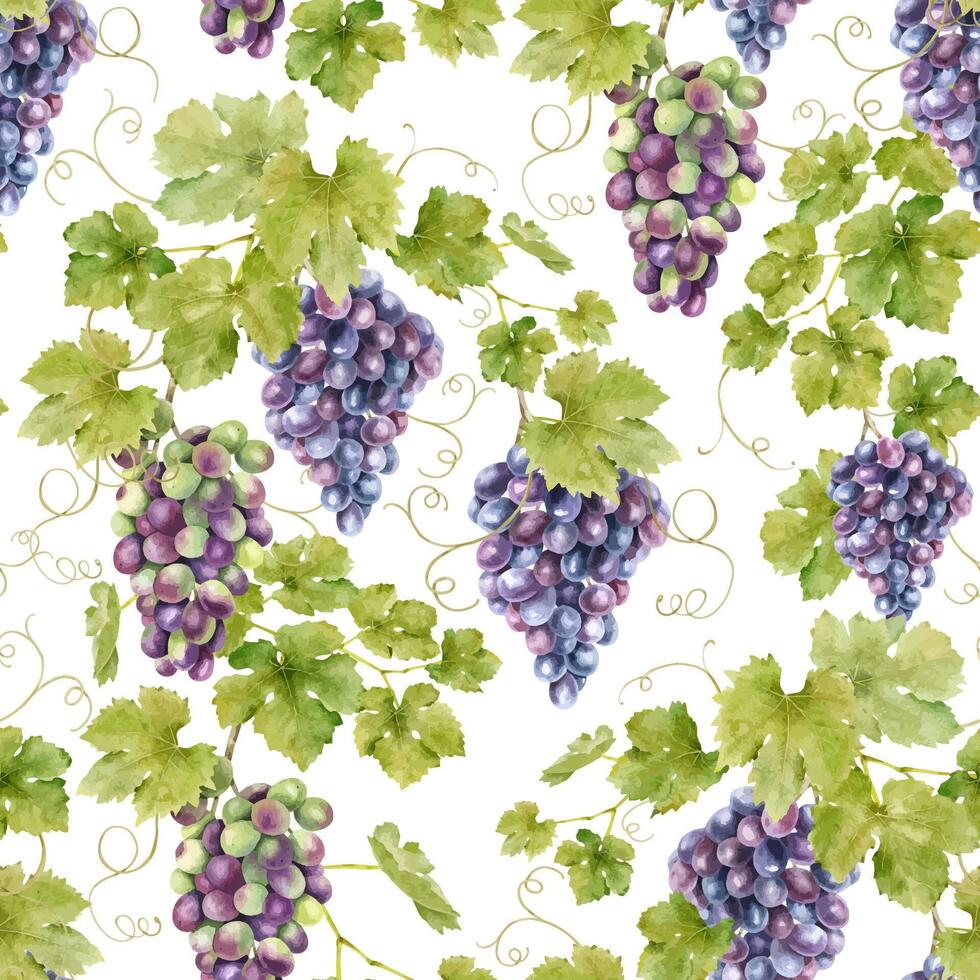 un manojo de rojo uvas, vides con hojas. acuarela sin costura modelo en un blanco antecedentes. para tela, embalaje papel, álbum de recortes, producto embalaje diseño vector