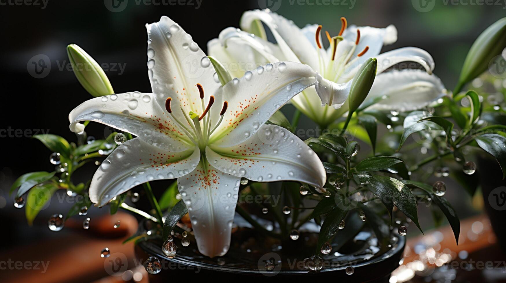 AI generated Lily white flower blossom decoration plant wallpaper photo