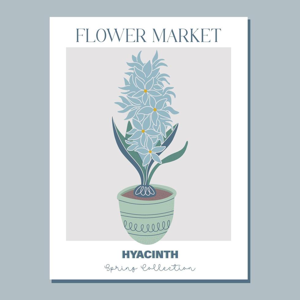 Flower poster. Trendy botanical wall art with hyacinth grows from a bulb in flowerpot. Fresh blooms, potted jacinth houseplant. Modern interior decoration. Flat style vector illustration.
