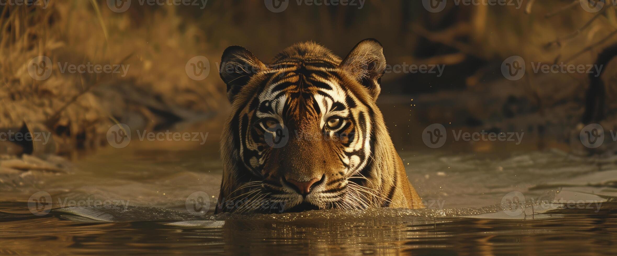 AI generated The Royal Bengal Tiger photo