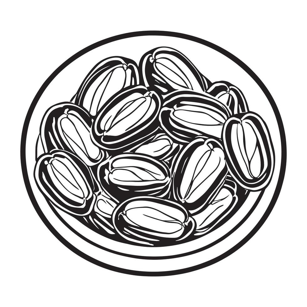 hand drawn illustration of date fruit vector