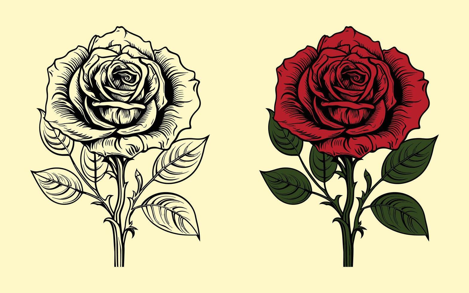 Red rose with green leaf vector illustration