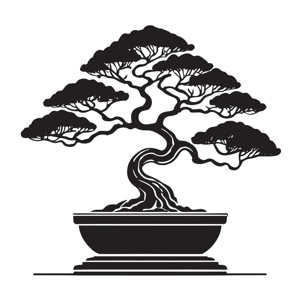 hand drawn illustration of bonsai tree vector