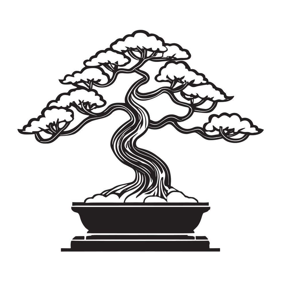 hand drawn illustration of bonsai tree vector
