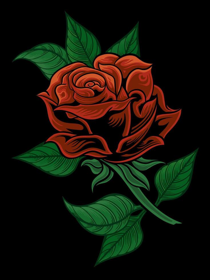 vector illustration red rose