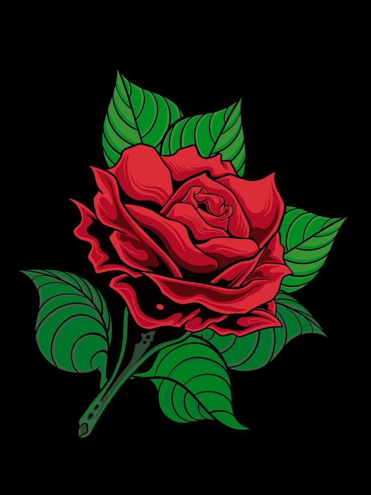 vector illustration red rose