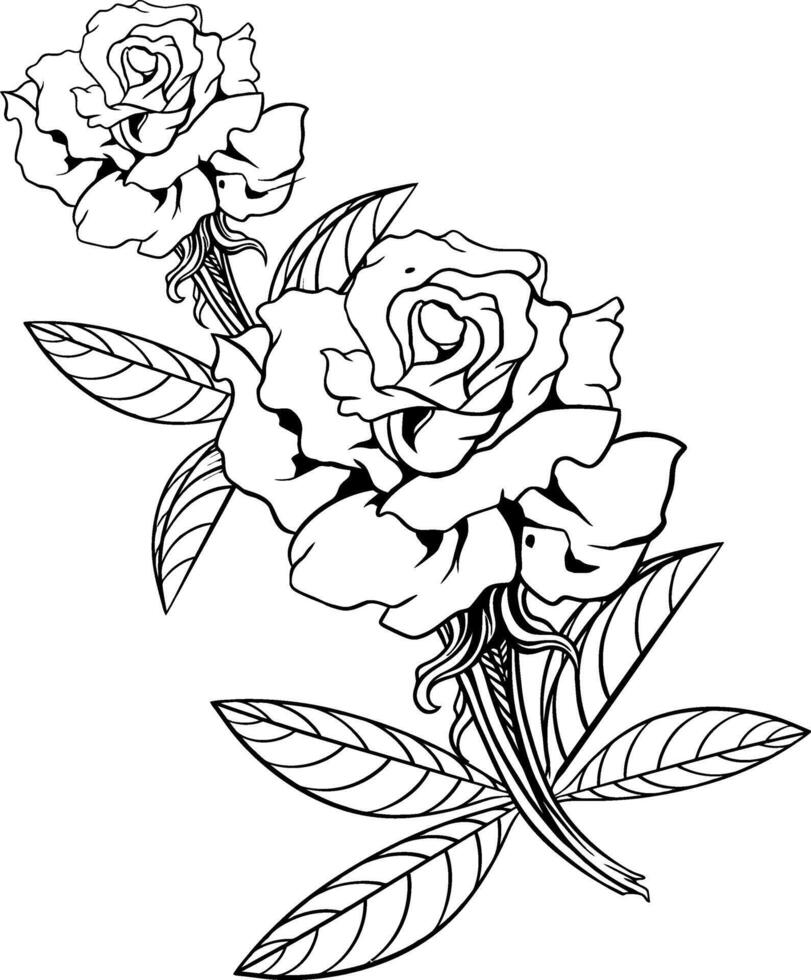 rose flower line art illustration vector