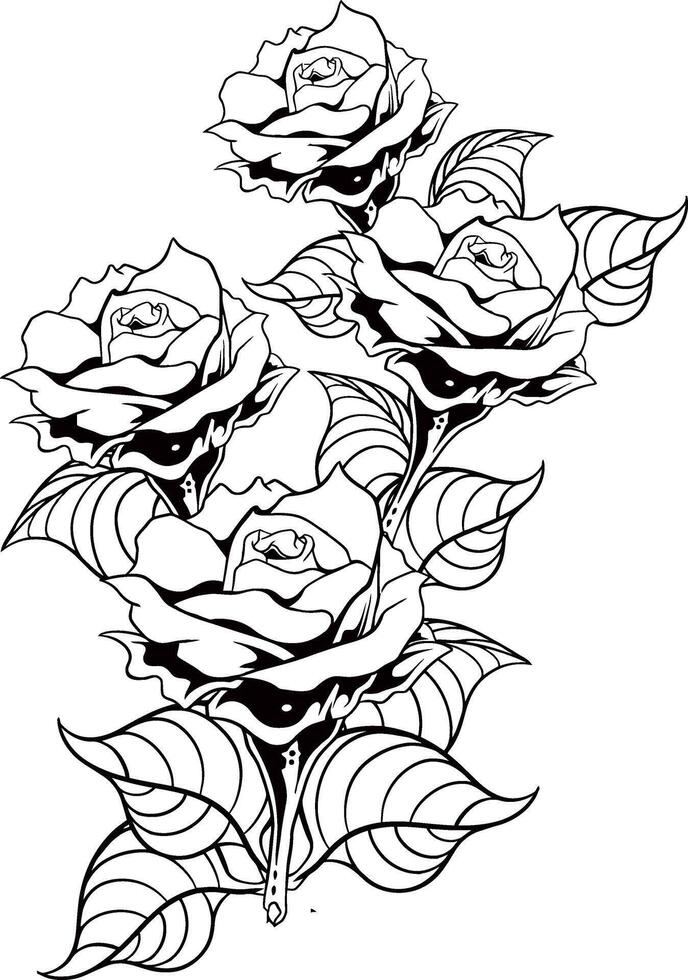 rose flower line art illustration vector