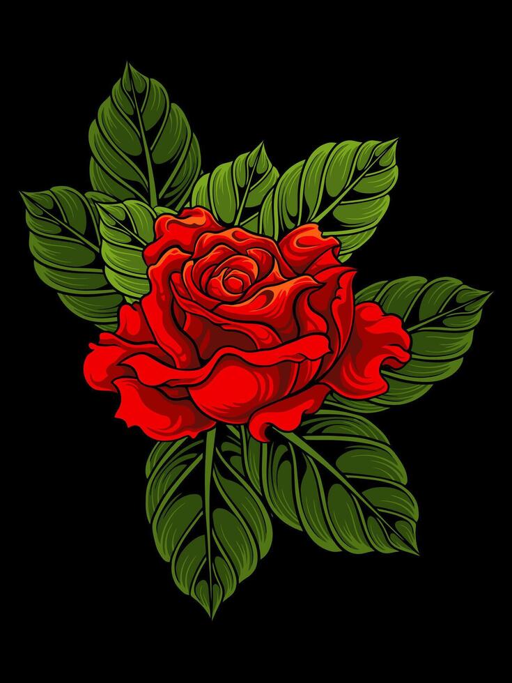 vector illustration red rose