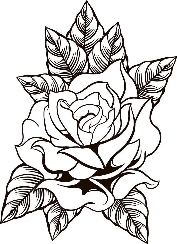Rosa flor línea Arte ilustración vector