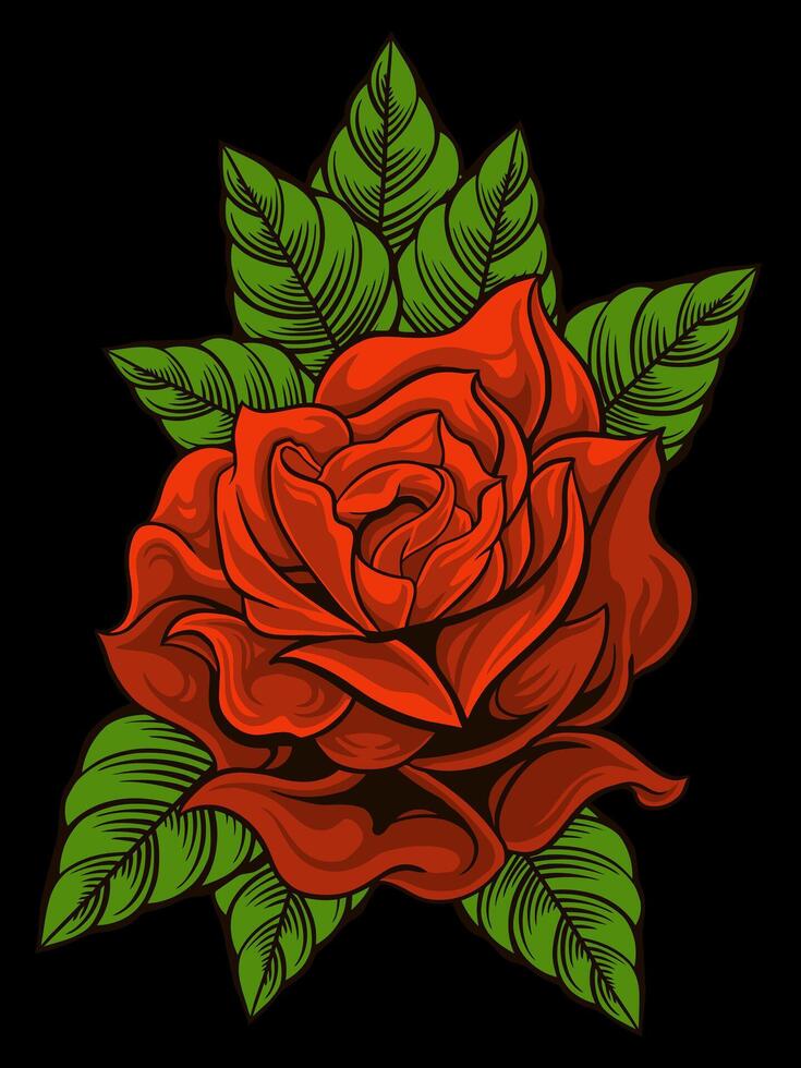 vector illustration red rose