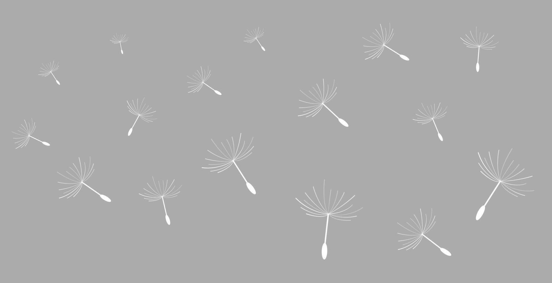 Flying dandelion seeds, vector icon. Vector isolated decoration element from scattered silhouettes.