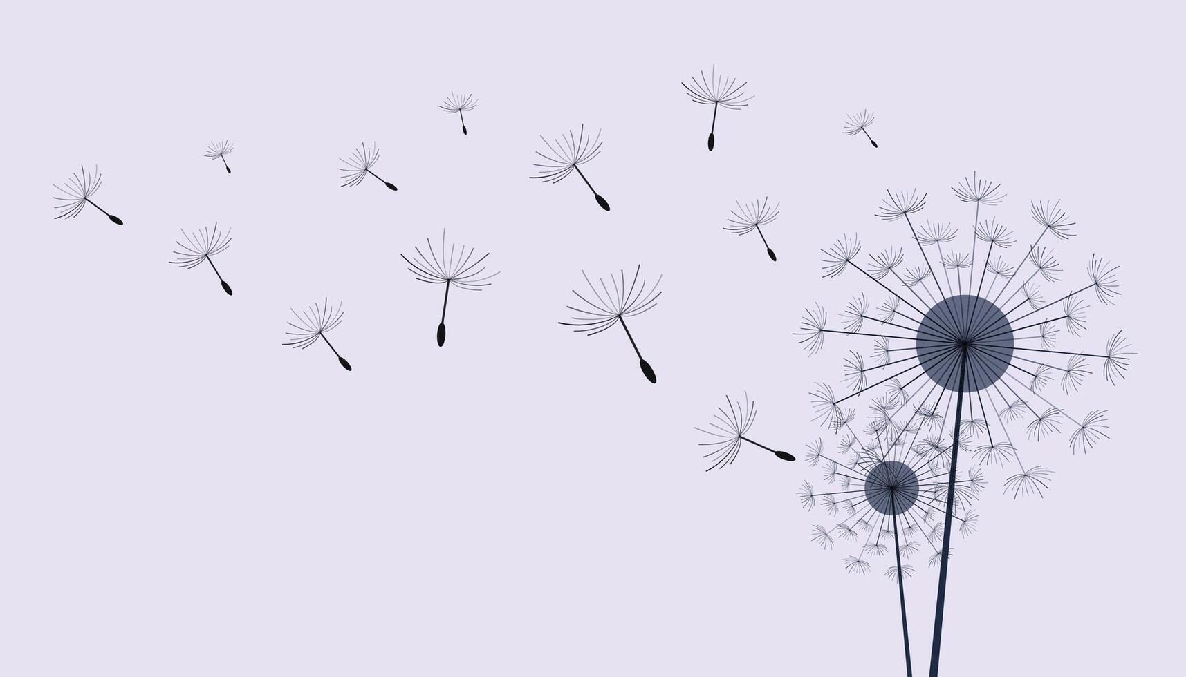 Flying dandelion seeds, vector icon. Vector isolated decoration element from scattered silhouettes.