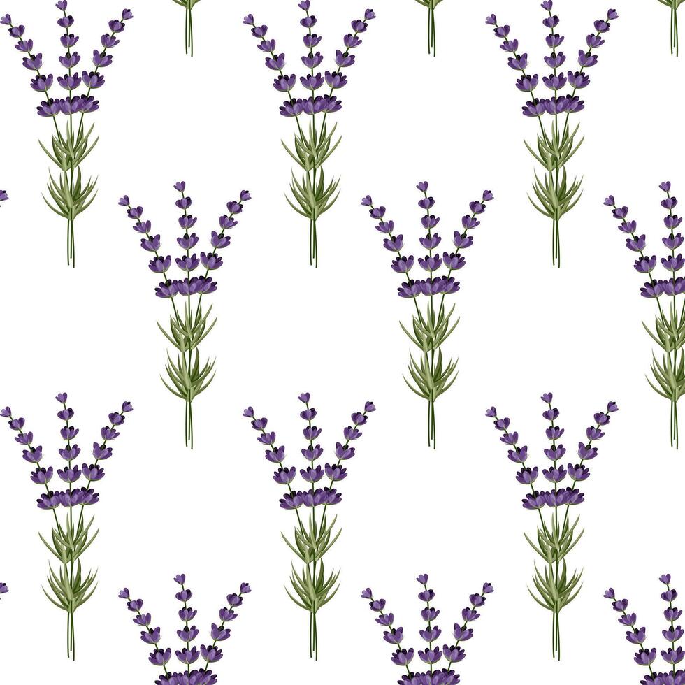 sin costura modelo de ramas de lavanda. para diseño tarjetas, pancartas y patrones.vector ilustración vector